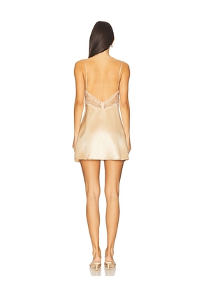 retrofete Aurora Lace Dress in Beige. Size L. Also in S, M, XL.