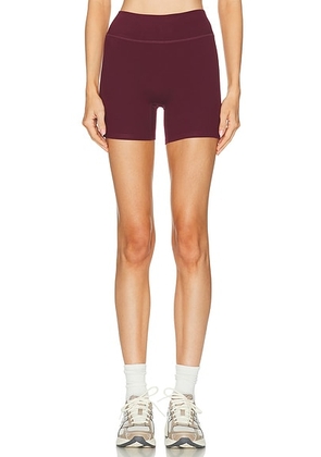 437 The Essentials Short in Black Cherry - Burgundy. Size L (also in S, XS, M).