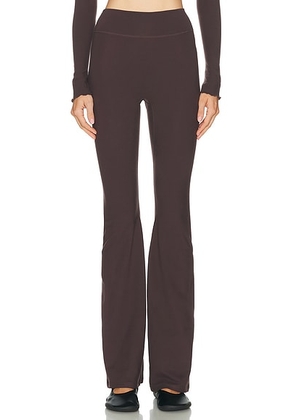 437 The Leisure Pant in Espresso - Chocolate. Size L (also in S, XS, M).