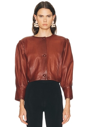 Chloe Plonge Nappa Leather Jacket in Burnt Henna - Rust. Size 40 (also in ).