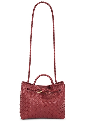 Bottega Veneta Small Andiamo Bag in Lava Red & Muse Brass - Red. Size all.