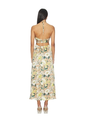 CAMI NYC Calliope Maxi Dress in Tan,White. Size L. Also in XXS, XS, S, XL.