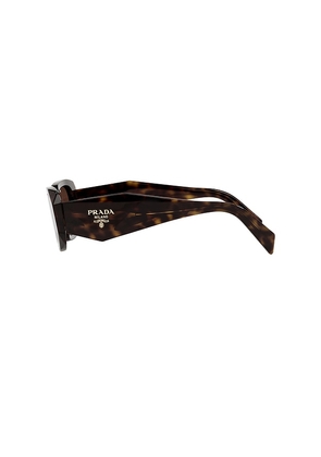 Prada Scultoreo Narrow Sunglasses in Brown.