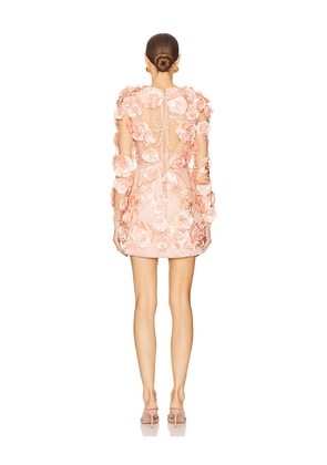 Zhivago Aonia Mini Dress in Blush. Size 10. Also in 2, 4, 6.