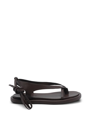 POEVE Flavia lace-up sandals - Brown