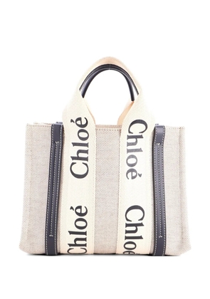 Chloé Pre-Owned Woody Canvas with Leather Small tote bag - Blue
