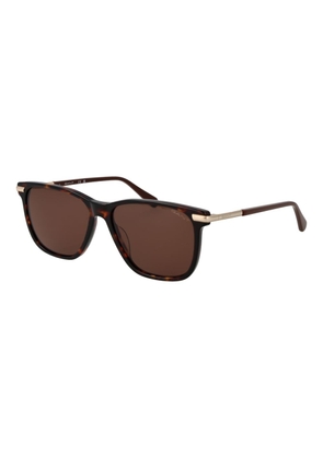 Gant Brown Acetate Sunglasses