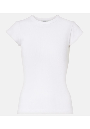 Agolde Edison ribbed-knit T-shirt