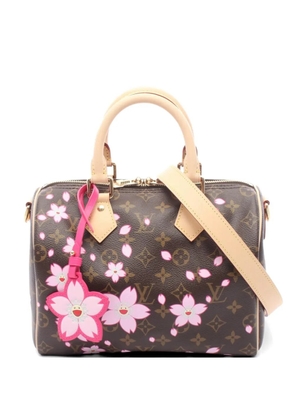 Louis Vuitton Pre-Owned x Takashi Murakami 2000 Speedy handbag - Brown
