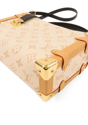 Louis Vuitton Pre-Owned MM Side Trunk two-way handbag - Neutrals