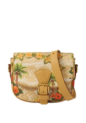 Louis Vuitton Pre-Owned Surfin Montsouris shoulder bag - Neutrals