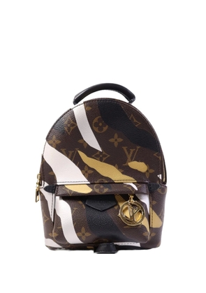 Louis Vuitton Pre-Owned Palm Springs monogram backpack - Brown
