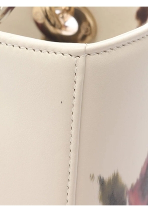 Christian Dior Pre-Owned 2010s medium Lady Dior tote bag - Neutrals