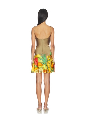 Donde Esteban Frutas Silk Satin Mini Dress in Metallic Gold,Orange. Size XS. Also in S.