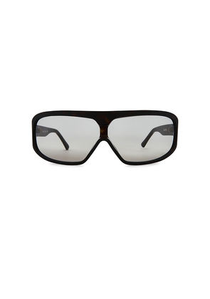 Lexxola Skye Sunglasses in Brown.