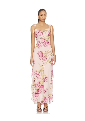 Steve Madden Jaila Dress in Pink. Size 4. Also in 0, 6, 8, 10.