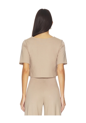 Ripley Rader Ponte Knit Short Sleeve Top in Tan. Size S. Also in XS, M, L.