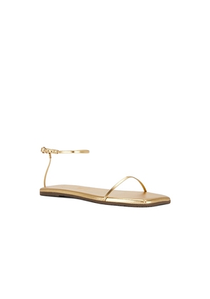 TKEES Twiggy Sandal in Metallic Gold. Size 6. Also in 7, 8, 9.