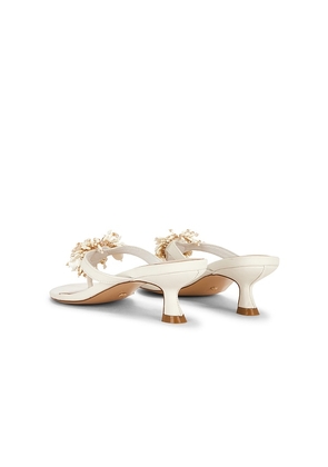 RAYE Iman Sandal in Ivory. Size 5.5. Also in 6.5, 7, 7.5, 8, 8.5.