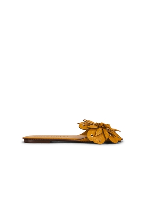 Zimmermann Brightside Slide in Tan. Size 37. Also in 36, 38, 39, 40.