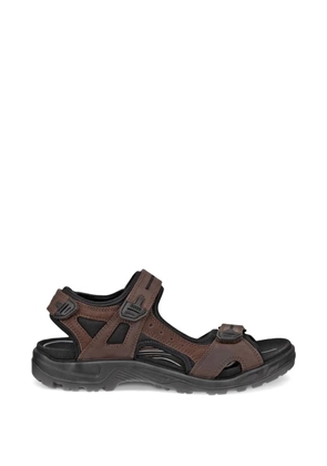 ECCO Offroad cut-out sandals - Brown