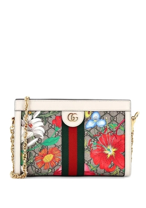 Gucci Pre-Owned Ophidia Chain Shoulder Bag Flora GG Coated Canvas Small crossbody bag - Brown