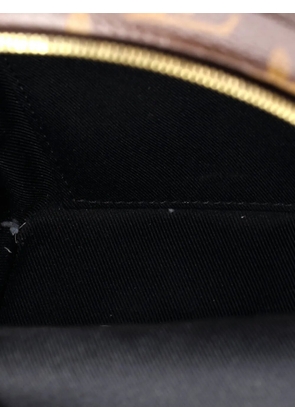 Louis Vuitton Pre-Owned Palm Springs Monogram Canvas Mini backpack - Brown