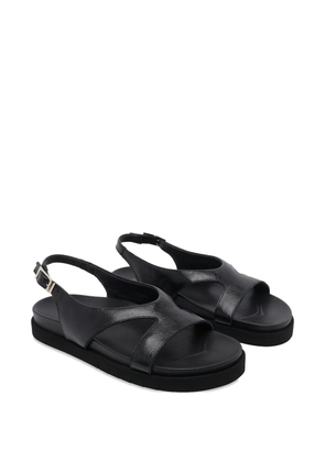 ANGEL ALARCON buckle-fastening cut-out sandals - Black
