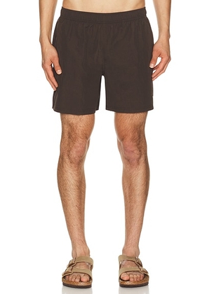 AUTO-REPLY 5.5 Solid Sebastian Swim Trunk in Molino - Brown. Size S (also in L, M, XL/1X).