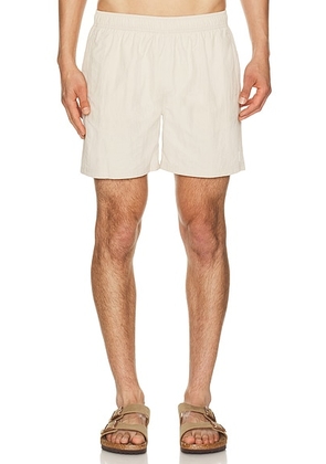 AUTO-REPLY 5.5 Solid Sebastian Swim Trunk in Saltstone - Cream. Size S (also in L, M, XL/1X).