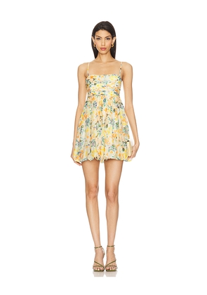 ASTR the Label Bubble Skirt Mini Dress in Orange,Lemon. Size M. Also in L.
