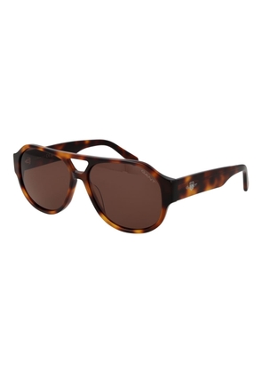 Gant Brown Acetate Sunglasses