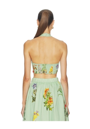 HEMANT AND NANDITA Crop Top in Mint. Size S. Also in L, M, XL, XS, XXL.