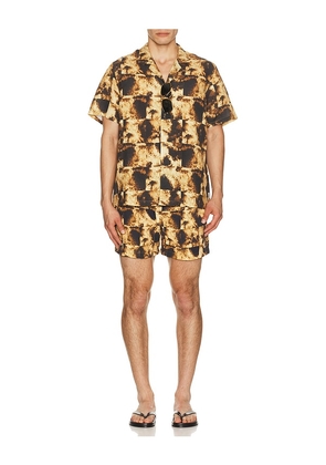 AUTO-REPLY Alex Printed Short Sleeve Linen Shirt in Brown. Size S. Also in L, M, XL/1X.