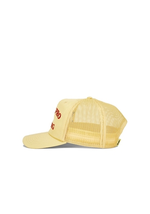 Duvin Design in Training Tennis Hat in Lemon.