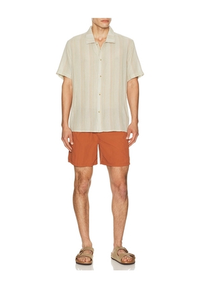 Rhythm Nurture Shirt in Green. Size S. Also in M, L, XL/1X.