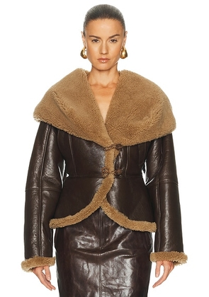 Magda Butrym Leather Shearling Hooded Jacket in Brown - Brown. Size 38 (also in 34).