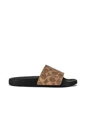 Coach Udele Slide in Tan. Size 10. Also in 5, 9, 11.