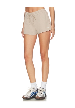 Astoria Sweatshort in Beige. Size L. Also in M, XL, XS, S.