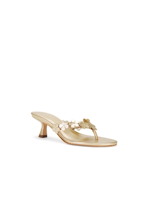 RAYE Zoey Sandal in Metallic Gold. Size 10. Also in 5.5, 6, 6.5, 7, 7.5, 8, 8.5, 9, 9.5.