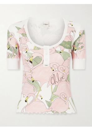 Chloé - Printed Ribbed Cotton-jersey T-shirt - Pink - x small,small,medium,large,x large