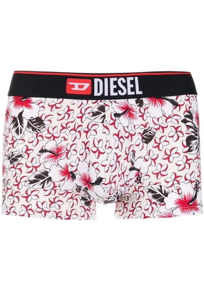 Diesel logo-print boxer briefs - Neutrals