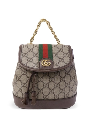 Gucci Pre-Owned GG Web backpack - Brown