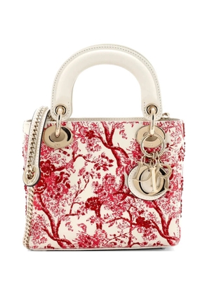 Christian Dior Pre-Owned Lady Dior Chain Bag Embroidered Calfskin Mini satchel - Multicolour