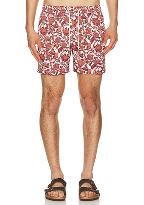 Arrels Barcelona Kabak x Lazaro Rosa Violan Classic Swim Shorts in Red in Red Kabak - Red. Size L (also in S, M, XL/1X).