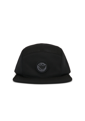Bad Birdie Prodigy Performance Cap in Black.
