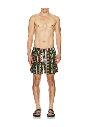 Duvin Design Jungle Swim Shorts in Green. Size S. Also in M, L, XL/1X.