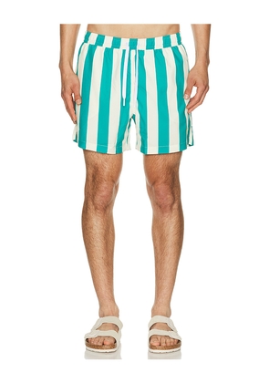 Duvin Design Travel Swim Shorts in Cream,Green. Size S. Also in M, L, XL/1X.