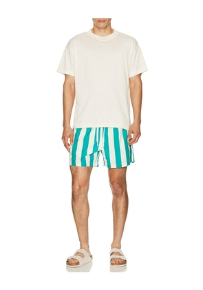 Duvin Design Travel Swim Shorts in Cream,Green. Size S. Also in M, L, XL/1X.