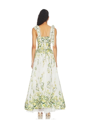 Alice + Olivia Haven Flared Maxi Dress in Green,White. Size 0. Also in 2, 4.